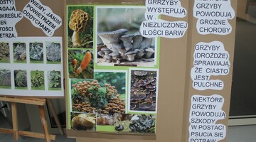 Piknik Klub&oacute;w Młodego Odkrywcy na Uniwersytecie w Białymstoku podczas Podlaskiego Festiwalu Nauki i Sztuki 