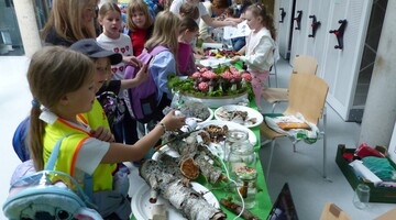 Piknik Klub&oacute;w Młodego Odkrywcy na Uniwersytecie w Białymstoku podczas Podlaskiego Festiwalu Nauki i Sztuki 