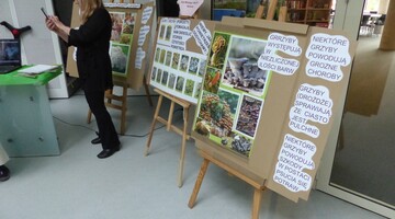 Piknik Klub&oacute;w Młodego Odkrywcy na Uniwersytecie w Białymstoku podczas Podlaskiego Festiwalu Nauki i Sztuki 