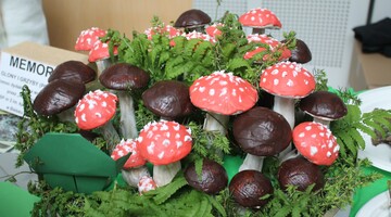 Piknik Klub&oacute;w Młodego Odkrywcy na Uniwersytecie w Białymstoku podczas Podlaskiego Festiwalu Nauki i Sztuki 
