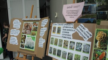 Piknik Klub&oacute;w Młodego Odkrywcy na Uniwersytecie w Białymstoku podczas Podlaskiego Festiwalu Nauki i Sztuki 